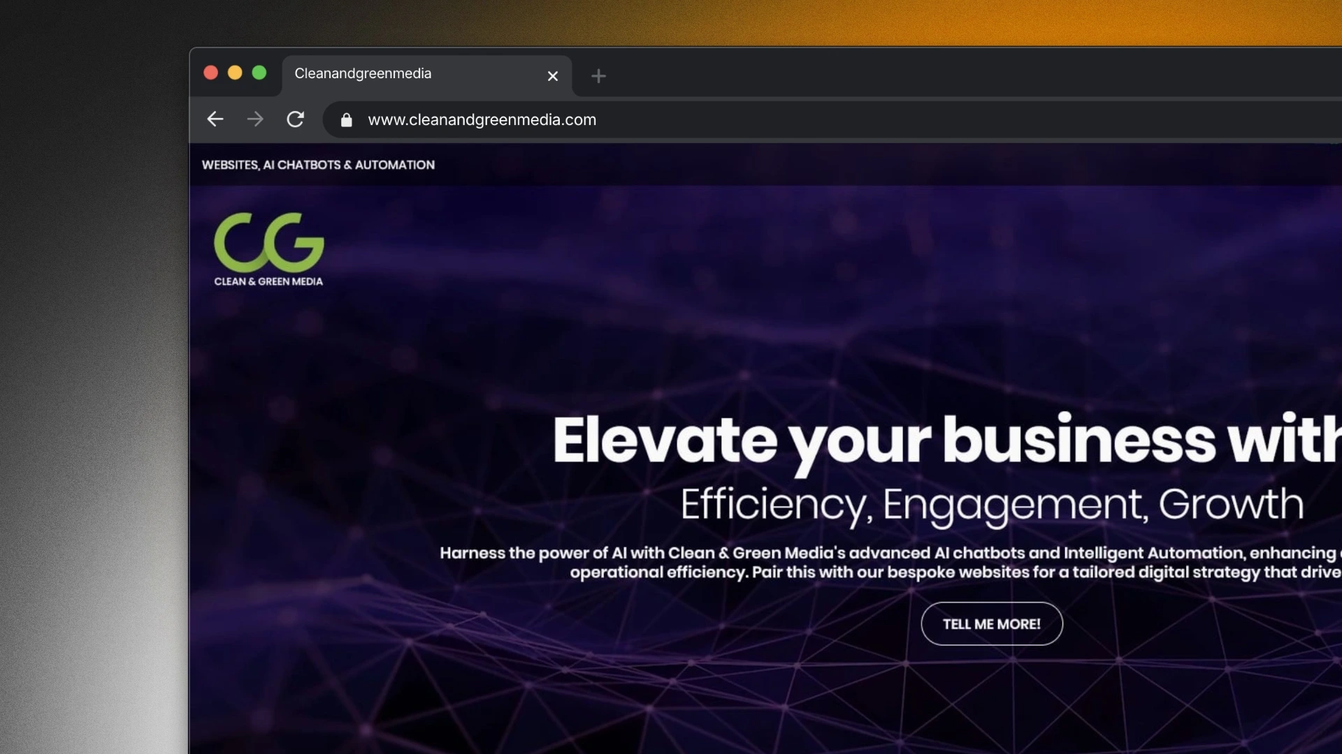 Captura de pantalla del proyecto ./projects/QuickGrowthAudit.webp
