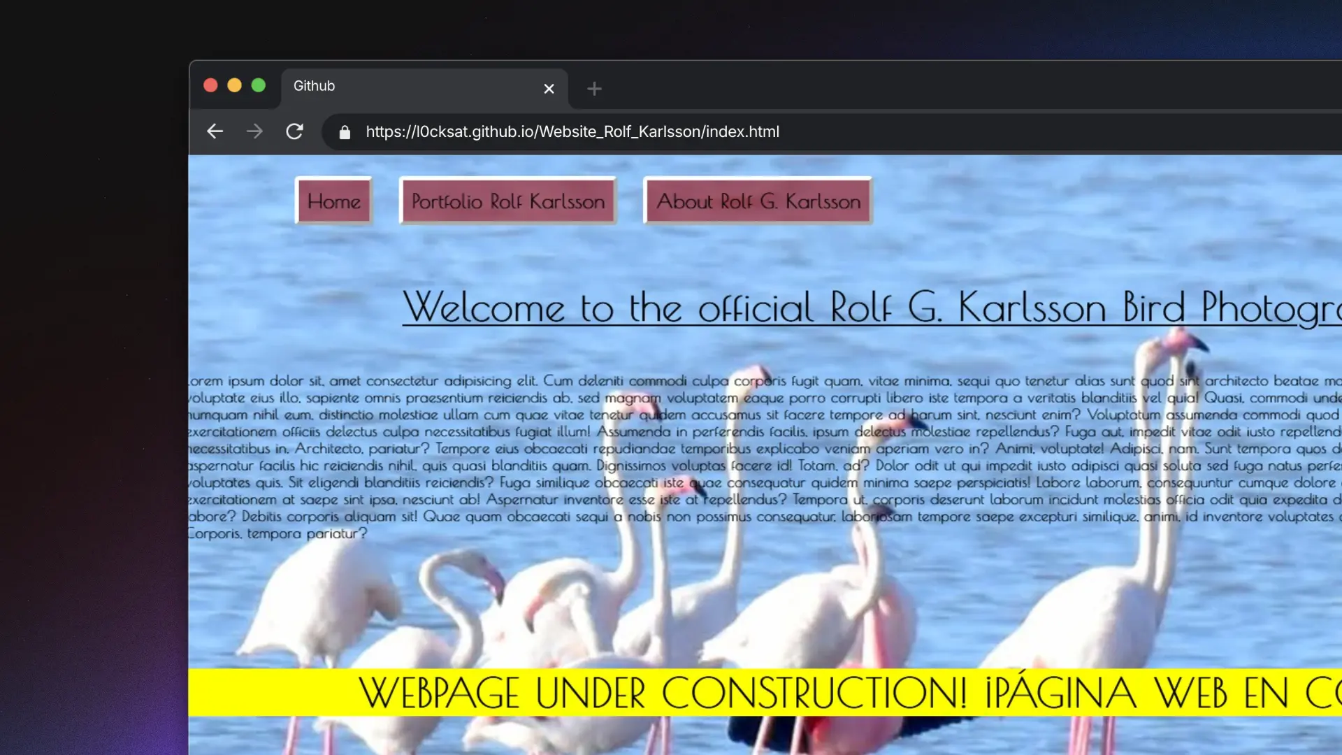 Captura de pantalla del proyecto ./projects/RolfKarlsson.webp