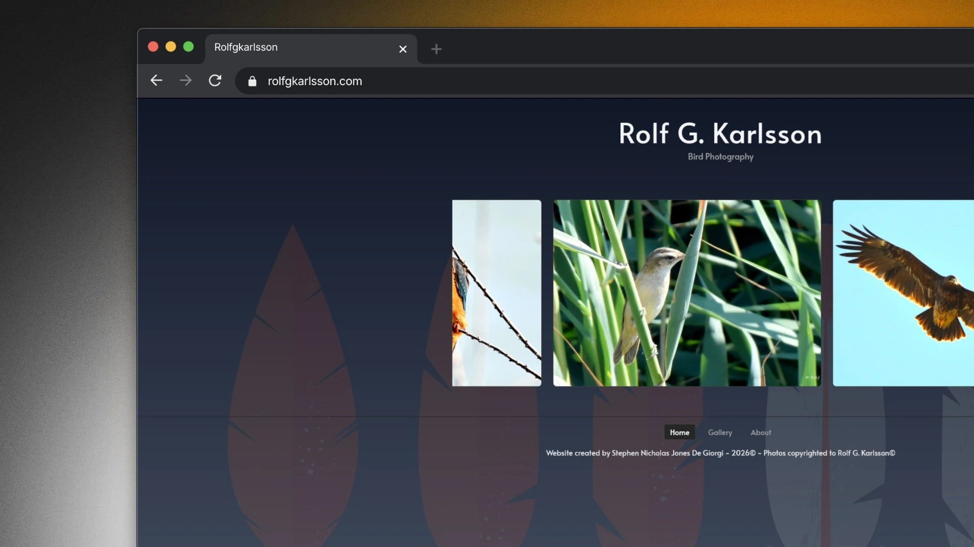 Captura de pantalla del proyecto ./projects/rolf-karlsson.webp